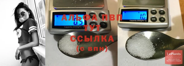 твердый Белокуриха