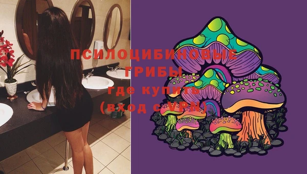 твердый Белокуриха