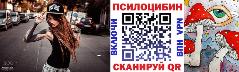 Псилоцибиновые грибы GOLDEN TEACHER  Купить закладки  Купино 